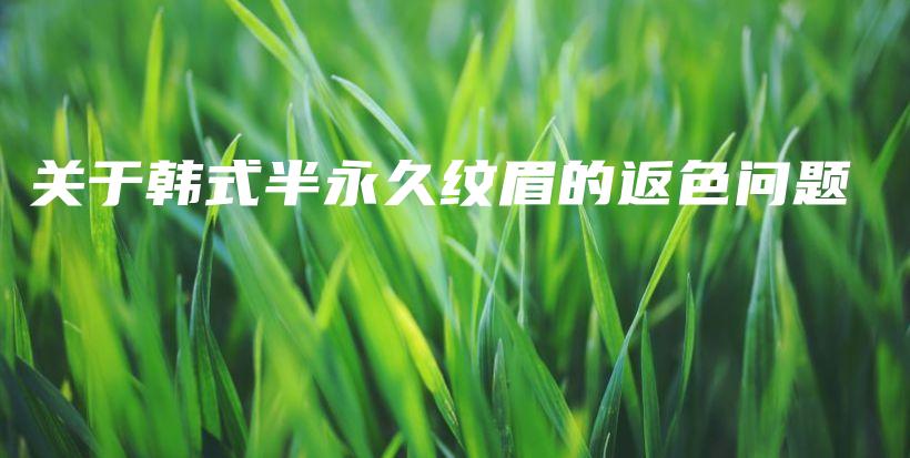 關(guān)于韓式半永久紋眉的返色問(wèn)題插圖