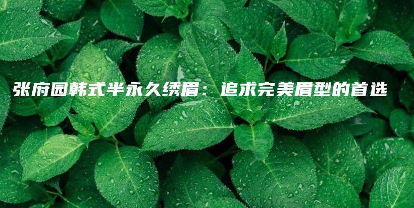 張府園韓式半永久繡眉：追求完美眉型的首選插圖