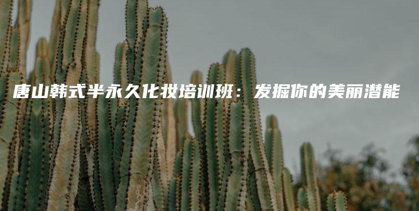 唐山韓式半永久化妝培訓(xùn)班：發(fā)掘你的美麗潛能插圖