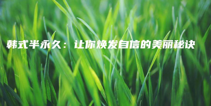 韓式半永久：讓你煥發(fā)自信的美麗秘訣插圖