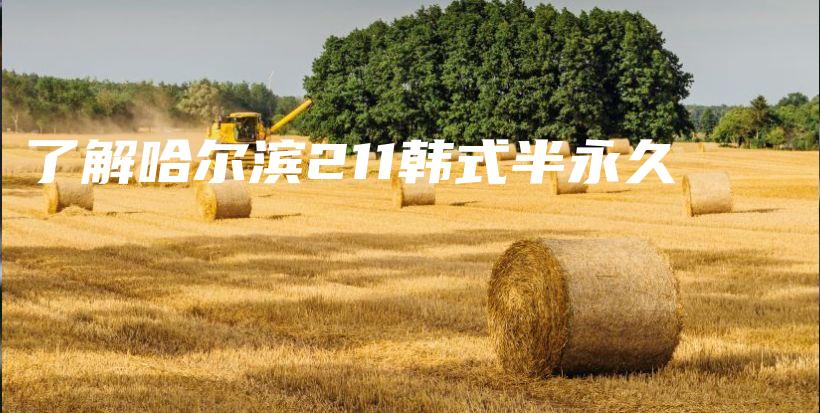 了解哈爾濱211韓式半永久插圖
