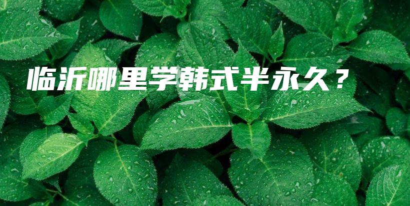 臨沂哪里學(xué)韓式半永久？插圖