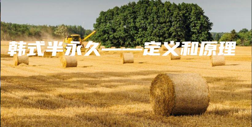 韓式半永久——定義和原理插圖