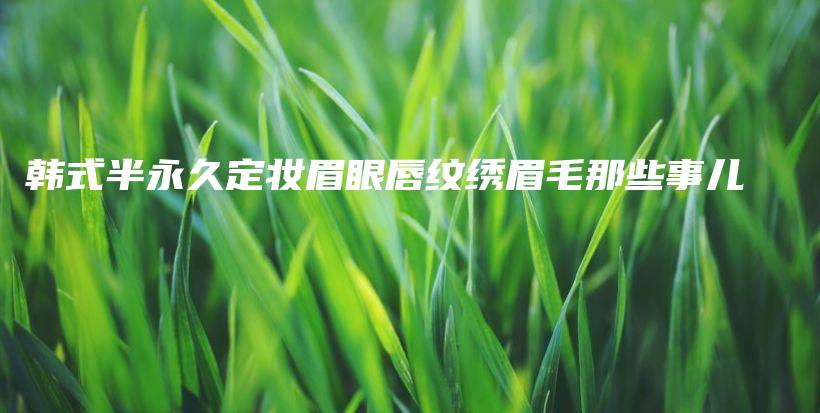 韓式半永久定妝眉眼唇紋繡眉毛那些事兒插圖