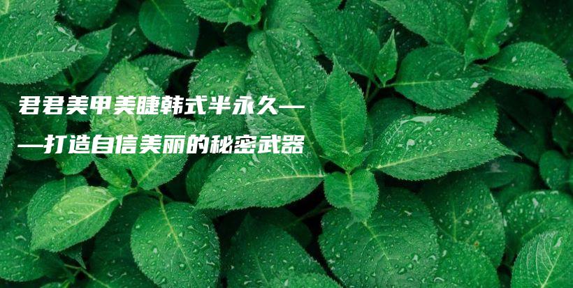 君君美甲美睫韓式半永久——打造自信美麗的秘密武器插圖