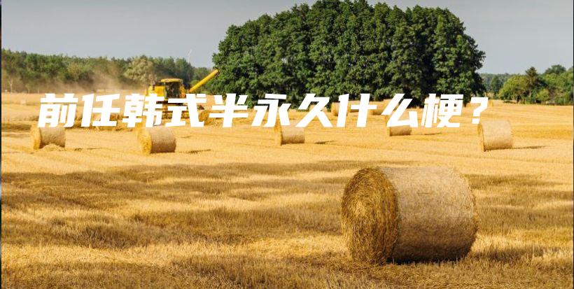 前任韓式半永久什么梗？插圖