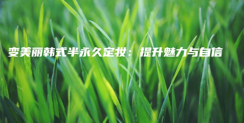 變美麗韓式半永久定妝：提升魅力與自信插圖