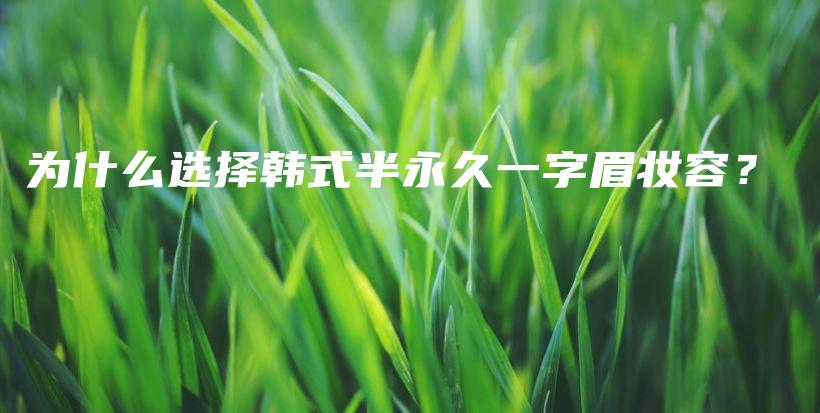 為什么選擇韓式半永久一字眉妝容？插圖