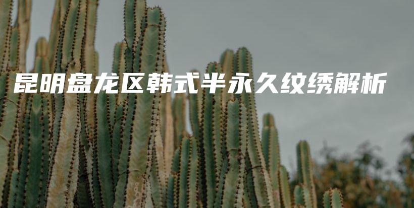 昆明盤龍區(qū)韓式半永久紋繡解析插圖