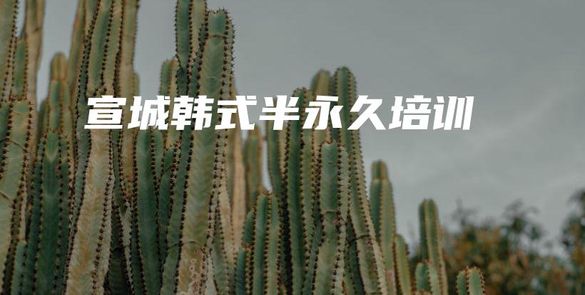 宣城韓式半永久培訓(xùn)插圖