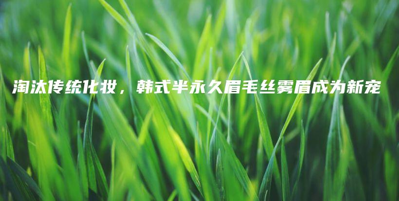 淘汰傳統(tǒng)化妝，韓式半永久眉毛絲霧眉成為新寵插圖