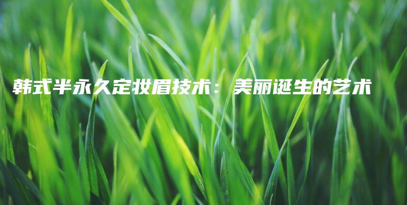 韓式半永久定妝眉技術(shù)：美麗誕生的藝術(shù)插圖