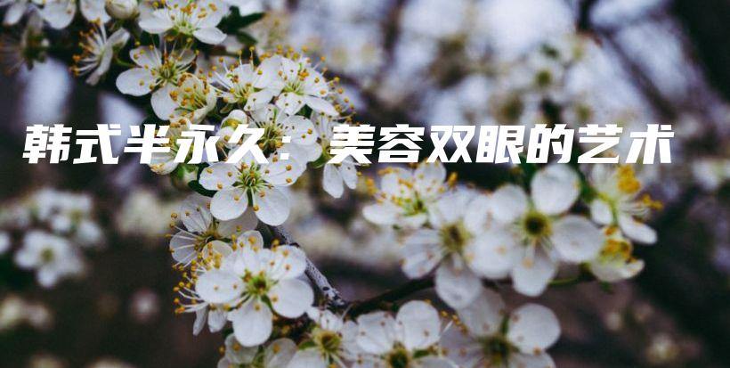 韓式半永久：美容雙眼的藝術(shù)插圖