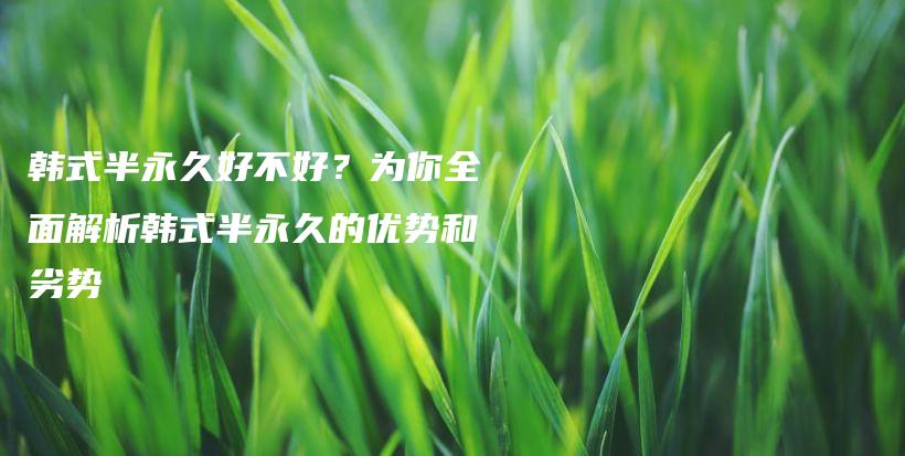 韓式半永久好不好？為你全面解析韓式半永久的優(yōu)勢(shì)和劣勢(shì)插圖
