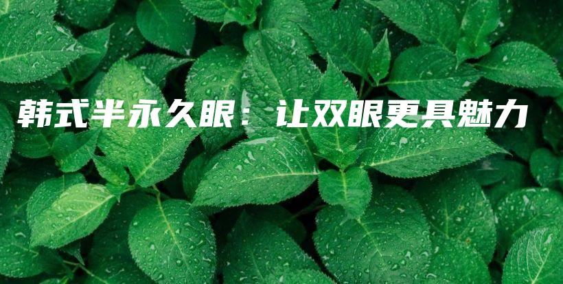 韓式半永久眼：讓雙眼更具魅力插圖