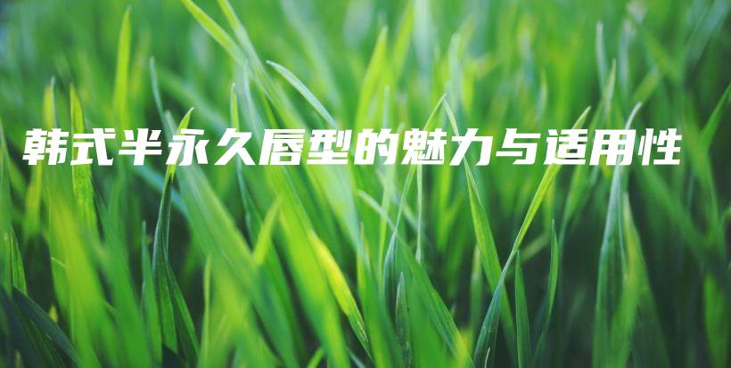 韓式半永久唇型的魅力與適用性插圖