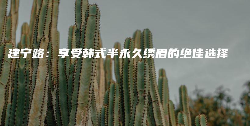 建寧路：享受韓式半永久繡眉的絕佳選擇插圖