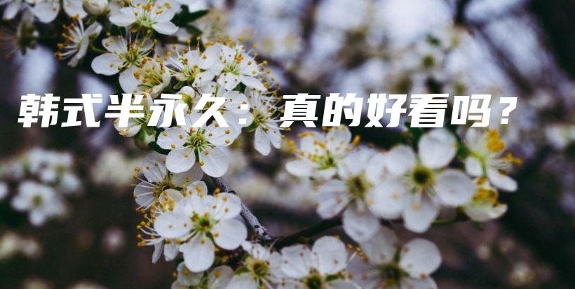 韓式半永久：真的好看嗎？插圖