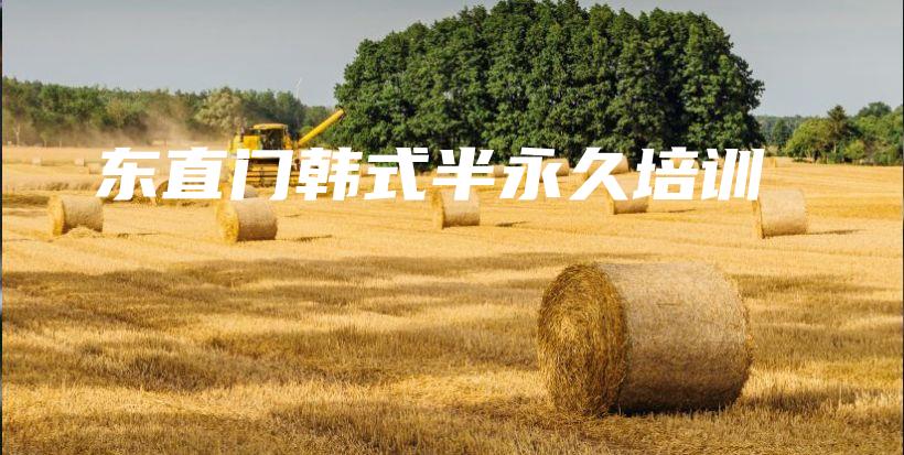 東直門韓式半永久培訓(xùn)插圖