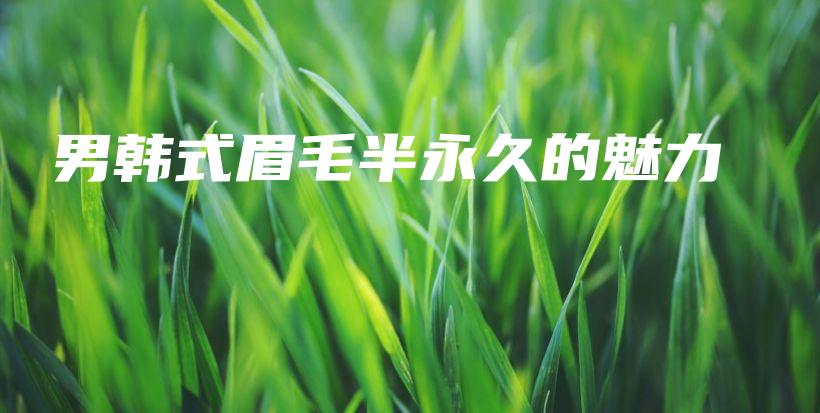 男韓式眉毛半永久的魅力插圖