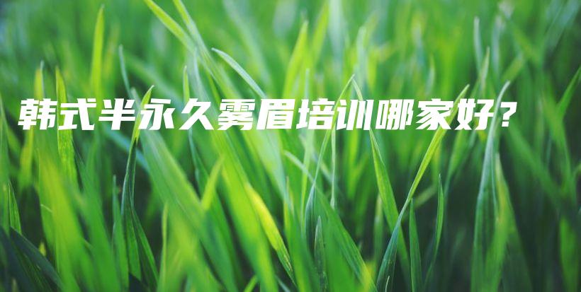 韓式半永久霧眉培訓哪家好？插圖