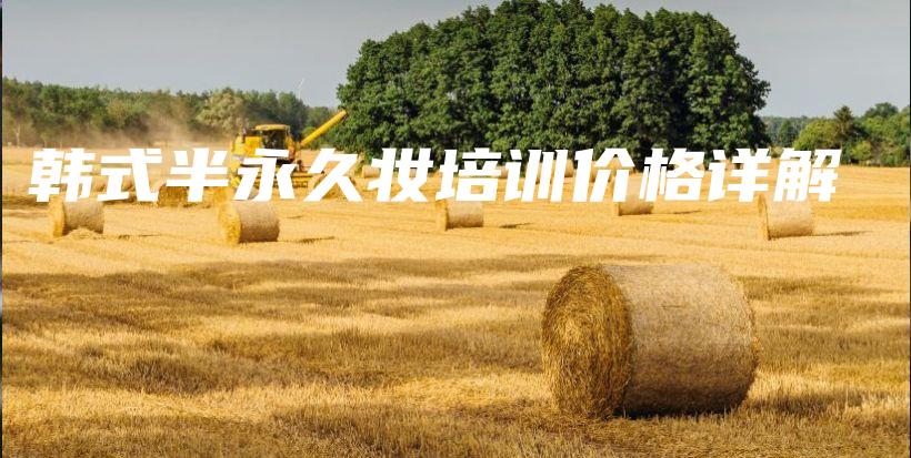 韓式半永久妝培訓(xùn)價(jià)格詳解插圖