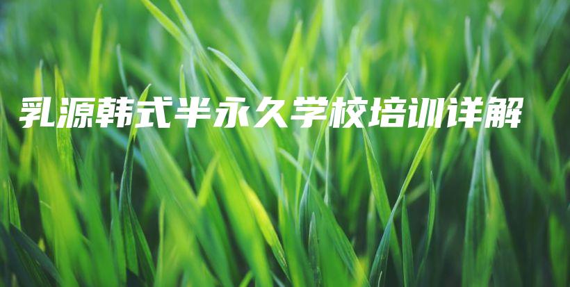 乳源韓式半永久學(xué)校培訓(xùn)詳解插圖