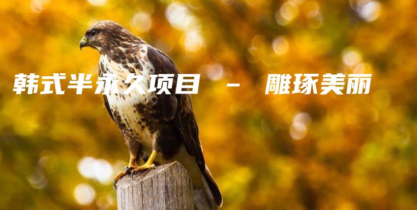 韓式半永久項目 – 雕琢美麗插圖