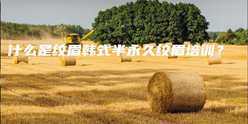 什么是紋眉韓式半永久紋眉培訓(xùn)？插圖