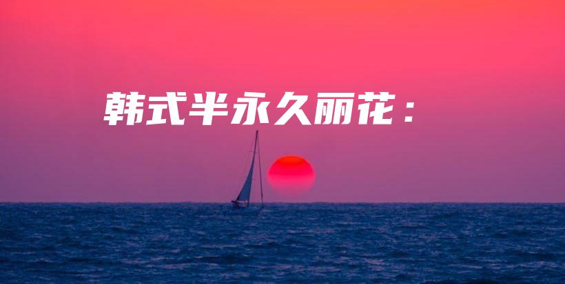 韓式半永久麗花：插圖