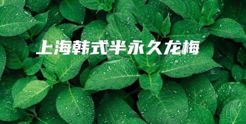上海韓式半永久龍梅插圖