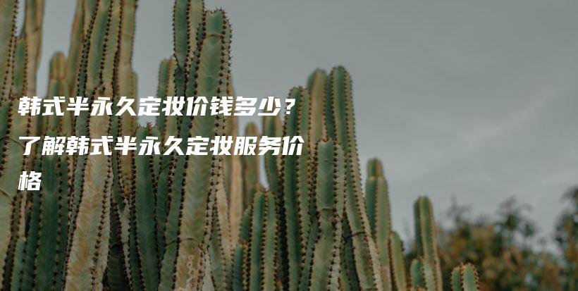 韓式半永久定妝價(jià)錢多少？了解韓式半永久定妝服務(wù)價(jià)格插圖