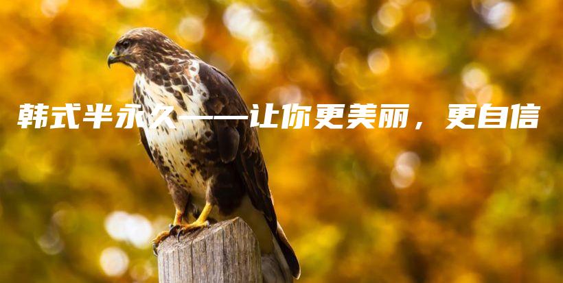 韓式半永久——讓你更美麗，更自信插圖