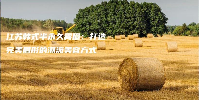 江蘇韓式半永久霧眉：打造完美眉形的潮流美容方式插圖