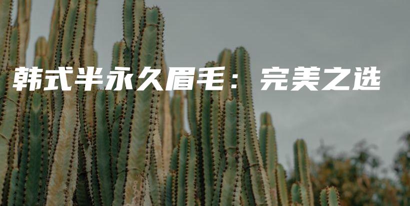 韓式半永久眉毛：完美之選插圖