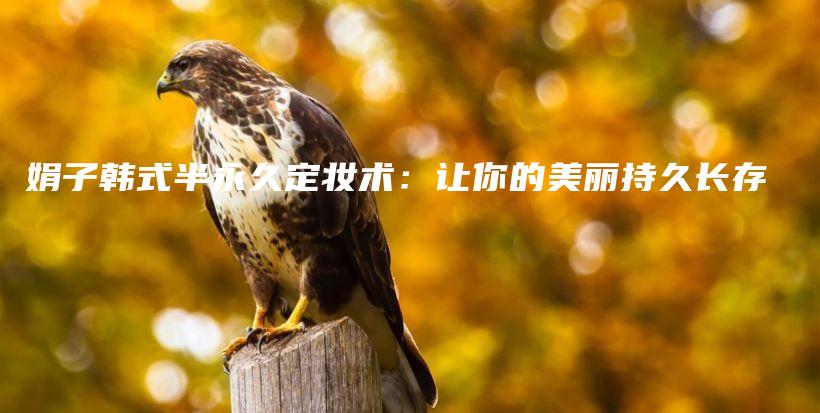 娟子韓式半永久定妝術：讓你的美麗持久長存插圖