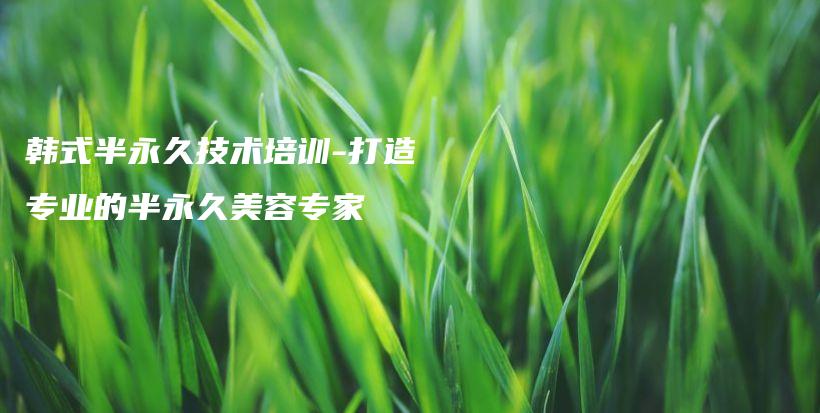 韓式半永久技術(shù)培訓(xùn)-打造專業(yè)的半永久美容專家插圖