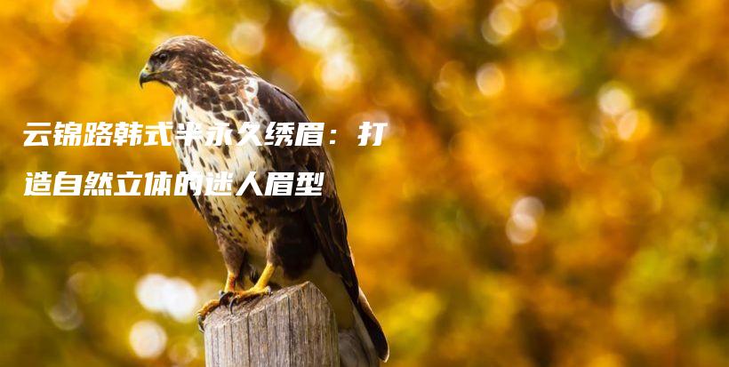 云錦路韓式半永久繡眉：打造自然立體的迷人眉型插圖