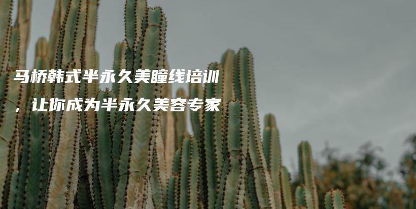馬橋韓式半永久美瞳線培訓(xùn)，讓你成為半永久美容專家插圖