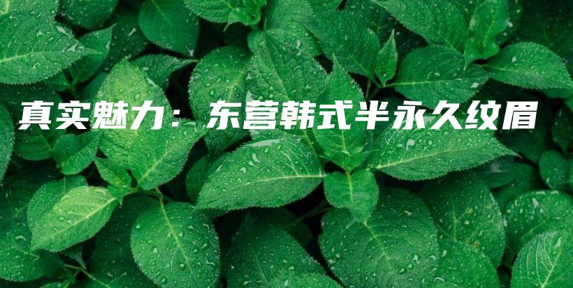 真實魅力：東營韓式半永久紋眉插圖