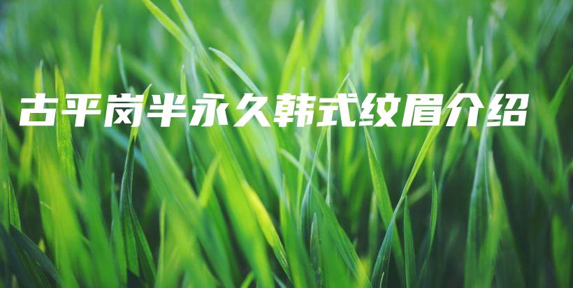 古平崗半永久韓式紋眉介紹插圖