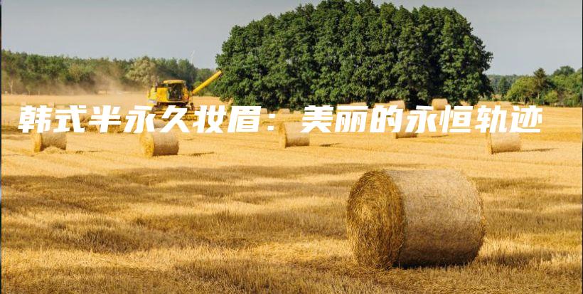 韓式半永久妝眉：美麗的永恒軌跡插圖