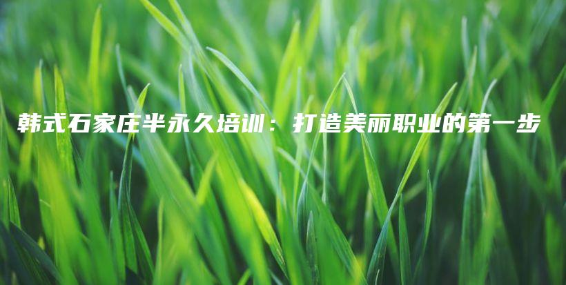 韓式石家莊半永久培訓：打造美麗職業(yè)的第一步插圖