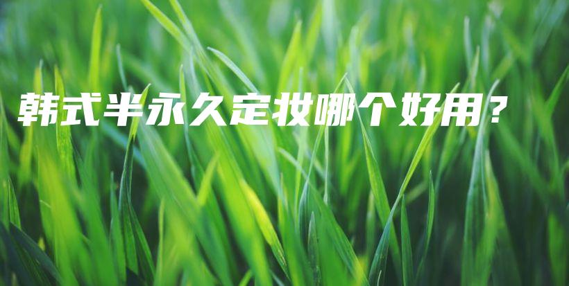 韓式半永久定妝哪個(gè)好用？插圖