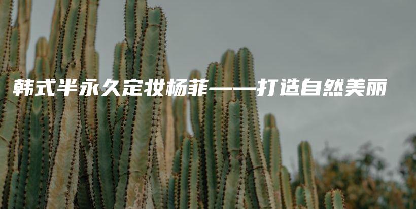 韓式半永久定妝楊菲——打造自然美麗插圖