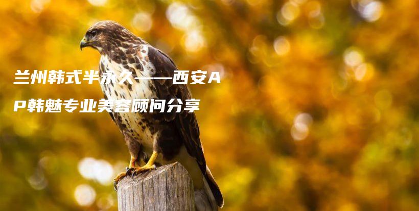 蘭州韓式半永久——西安AP韓魅專業(yè)美容顧問分享插圖