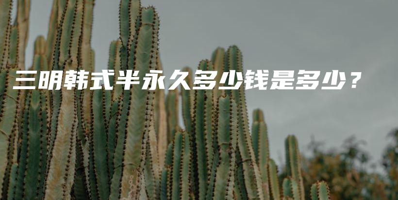 三明韓式半永久多少錢是多少？插圖