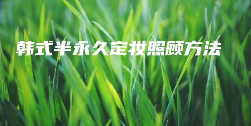 韓式半永久定妝照顧方法插圖