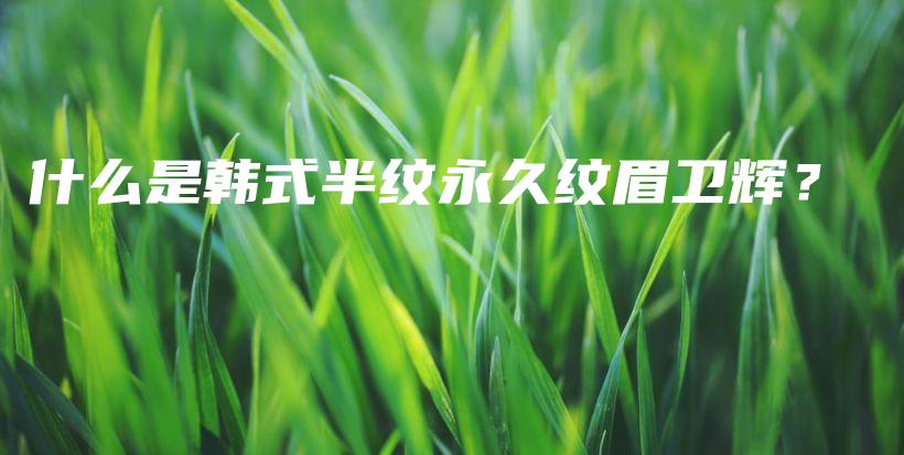 什么是韓式半紋永久紋眉衛(wèi)輝？插圖