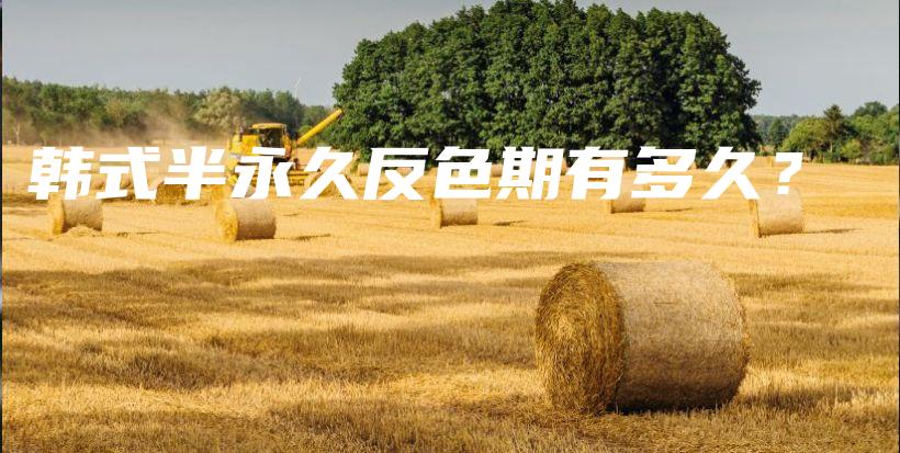 韓式半永久反色期有多久？插圖